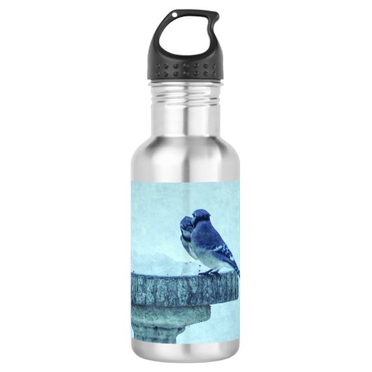 Bouteille D'eau Blue Jays Winter Nourriture Painterly Acier Inoxyd (Devant)