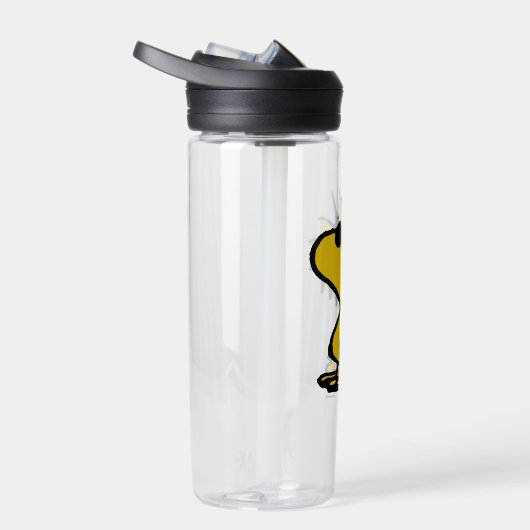 Bouteille D'eau Bois En Lunettes De Soleil (Droite)