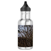 Bouteille D'eau Bouche dans le nid (Droite)