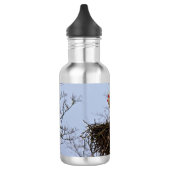 Bouteille D'eau Bouche dans le nid (Gauche)