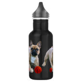 Bouteille D'eau Bouledogue français saut  (Gauche)