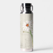 Bouteille D'eau Bouquet Daisy Aquarelle Sur Musique Faded (Avant)