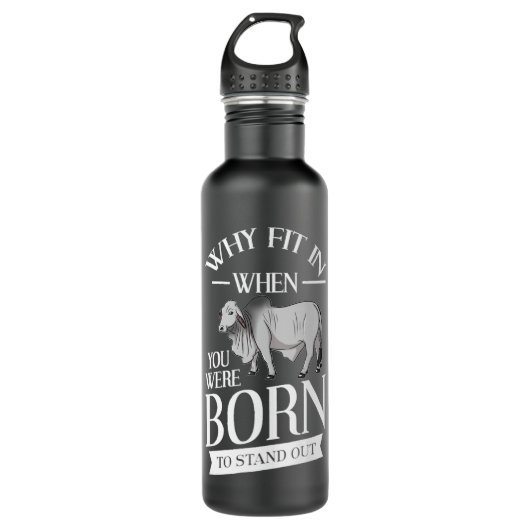 Bouteille D'eau Brahman Bull Cattle Mini Zebu Cow Premium (Devant)