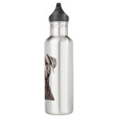 Bouteille D'eau Brown Dog Aesthetic water bottle – Cozy Pet Lover  (Droite)