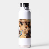 Bouteille D'eau Buddy bulldog (Gauche)