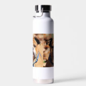 Bouteille D'eau Buddy bulldog (Plage)