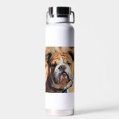 Bouteille D'eau Buddy bulldog (Arrière)