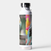 Bouteille D'eau Budgie (Gauche)