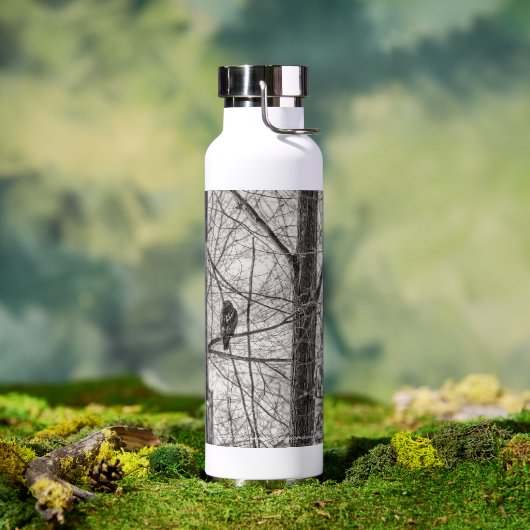 Bouteille D'eau Buse à queue rousse P8443 (Extérieur)