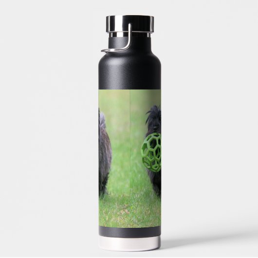 Bouteille D'eau Cairn terrier (Plage)