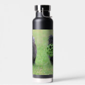 Bouteille D'eau Cairn terrier (Gauche)