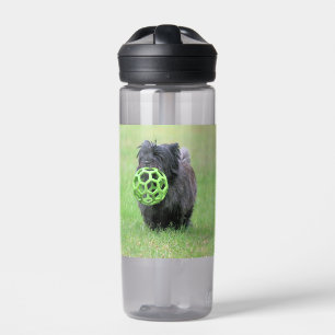 Bouteille D'eau Cairn terrier