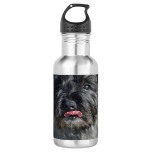 Bouteille D'eau Cairn Terrier adorable
