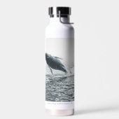 Bouteille D'eau Calf de baleine à bosse (Gauche)