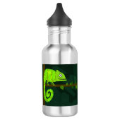 Bouteille D'eau Caméléon vert mignon (Gauche)