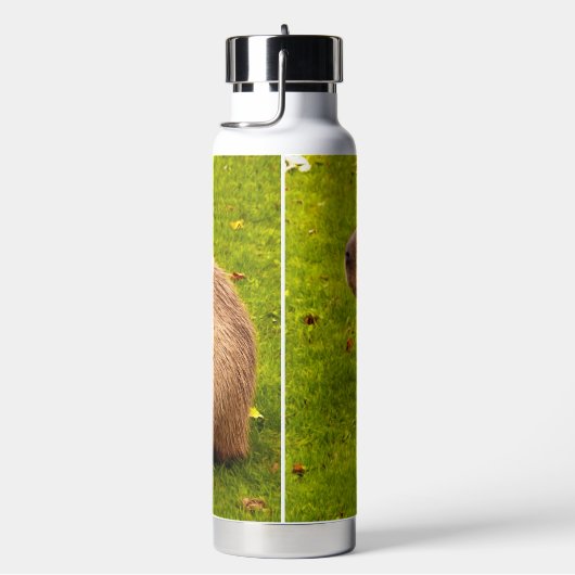 Bouteille D'eau Capybara (Évier)