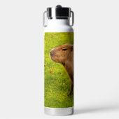 Bouteille D'eau Capybara (Salle de sport)