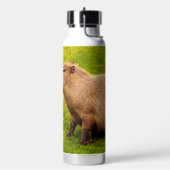 Bouteille D'eau Capybara (Gym)
