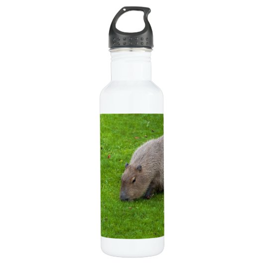 Bouteille D'eau Capybara Extraordinaire (Devant)