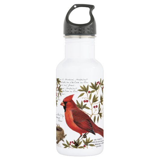 Bouteille D'eau cardinal d'hiver vintage moderne (Devant)