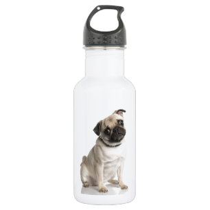 Bouteille D'eau Carlin