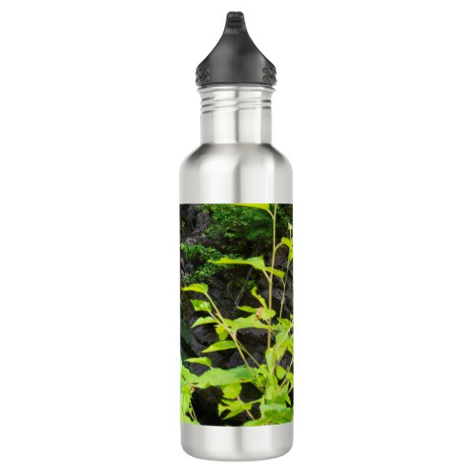 Bouteille D'eau Cascade de Hell's Gate Canyon (Droite)