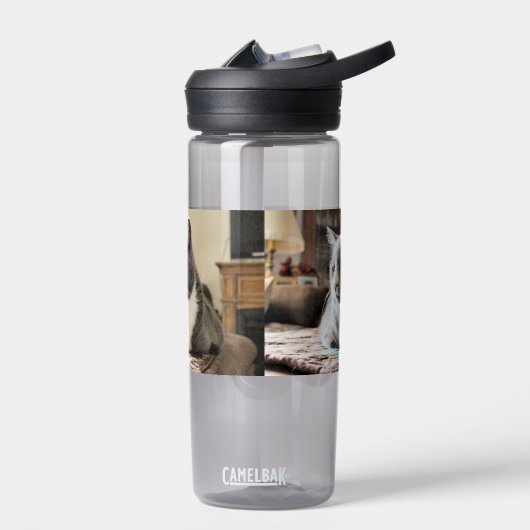 Bouteille D'eau Cat (Gauche)