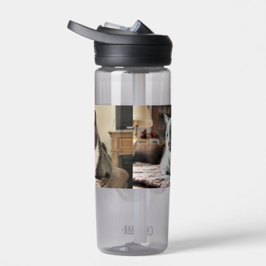 Bouteille D'eau Cat (Droite)