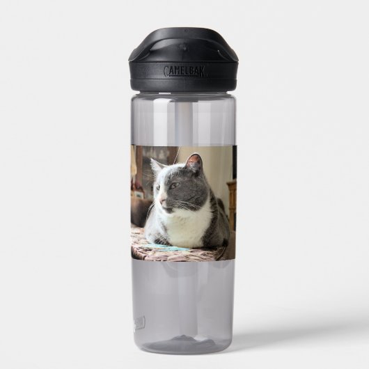 Bouteille D'eau Cat (Arrière)