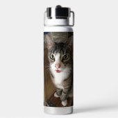 Bouteille D'eau Cat (Arrière)