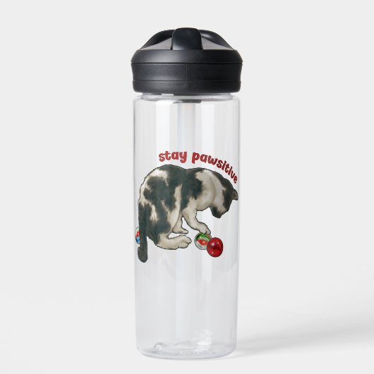 Bouteille D'eau Cat Playing with MARBLES, Stay Pawsitive, Pun (Extérieur)