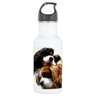Bouteille D'eau Cavaliers de frères
