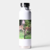 Bouteille D'eau Cerf (Gauche)