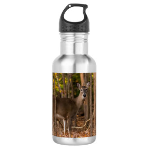 Bouteille D'eau Cerf à Woods