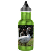 Bouteille D'eau Charbon d'oies domestiques (Droite)