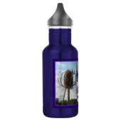 Bouteille D'eau Chardon de leville - Dipsacus fullonum (Gauche)