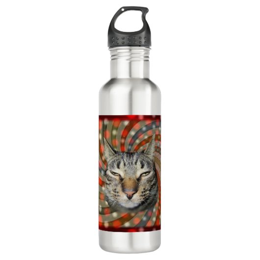 Bouteille D'eau Chat cool - VOUS ACCEPTEZ Votre Cadeau ! (Devant)