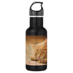 Bouteille D'eau Chat tigré orange de sommeil