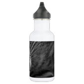 Bouteille D'eau Chaton de sommeil (Droite)