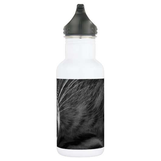 Bouteille D'eau Chaton de sommeil (Droite)