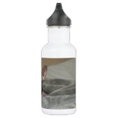 Bouteille D'eau Chaton de Spynx (Droite)