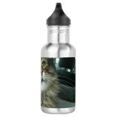 Bouteille D'eau chaton Maine Coon (Droite)