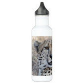 Bouteille D'eau Cheetah Portrait (Gauche)