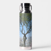 Bouteille D'eau Cherry Blossoms and the Washington Monument in DC (Avant)