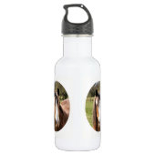 BOUTEILLE D'EAU CHEVAL (Dos)