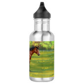 Bouteille D'eau Cheval Brown Bay Quarter (Droite)