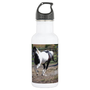 Bouteille D'eau Cheval Pinto Paint
