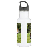 BOUTEILLE D'EAU CHEVAUX (Dos)