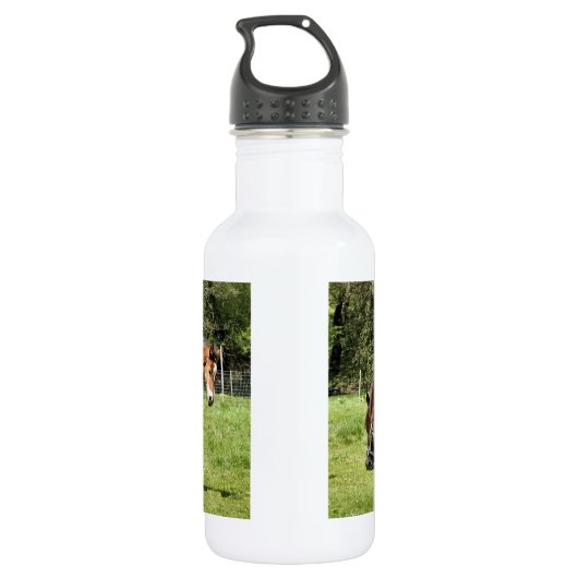 BOUTEILLE D'EAU CHEVAUX (Dos)