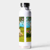 Bouteille D'eau Chèvre Heureuse (Gauche)